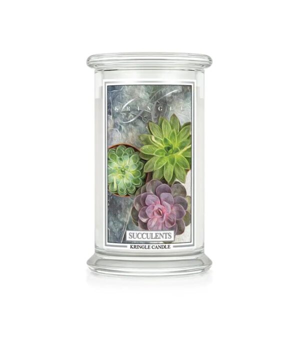 קרינגל קנדל נר ריחני סוקולנט 623גרם KRINGLE CANDLE SUCCULENTS 623G