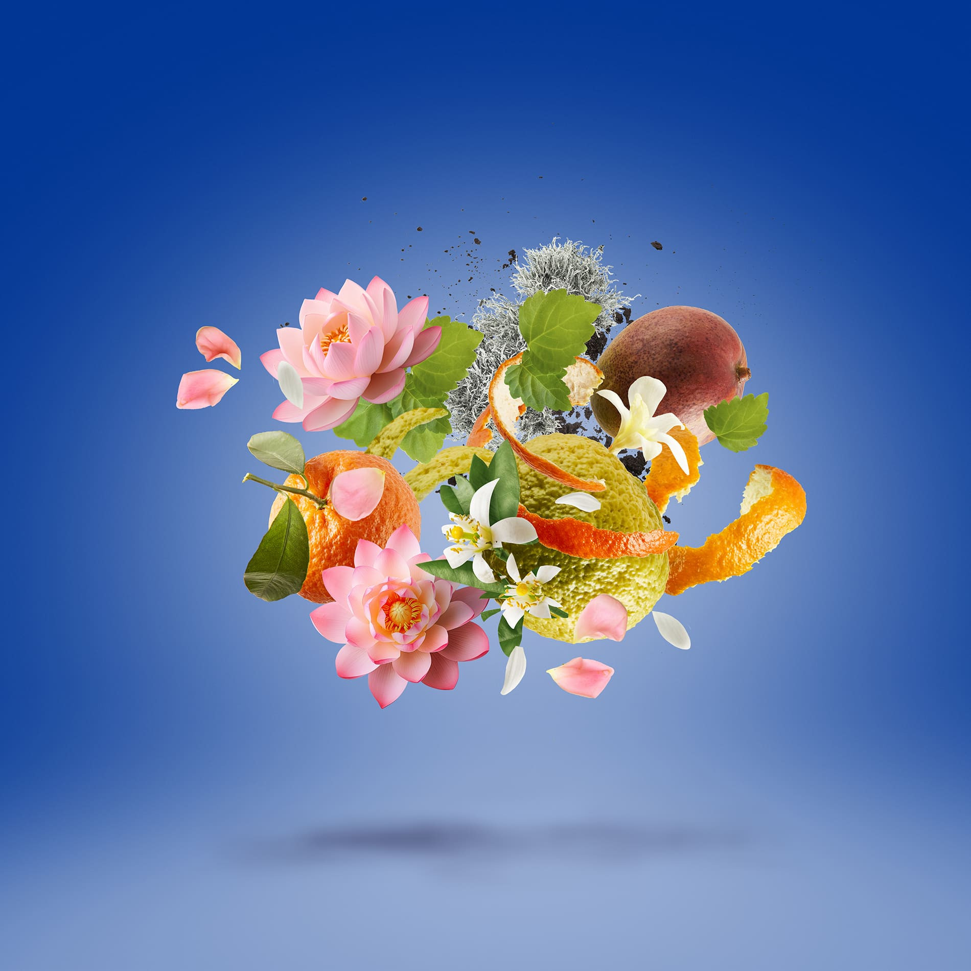 קסרגוף טורינו 24 בושם יוניסקס אדפ 50מ"ל - XERJOFF TORINO 24 EDP 50ML – תמונה 3