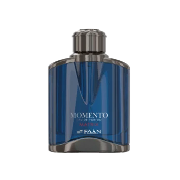 פאן פרפיומס מומנטו מטריקס אדפ 100מ״ל FAAN PARFUMS MOMENTO MATRIX EDP 100ML