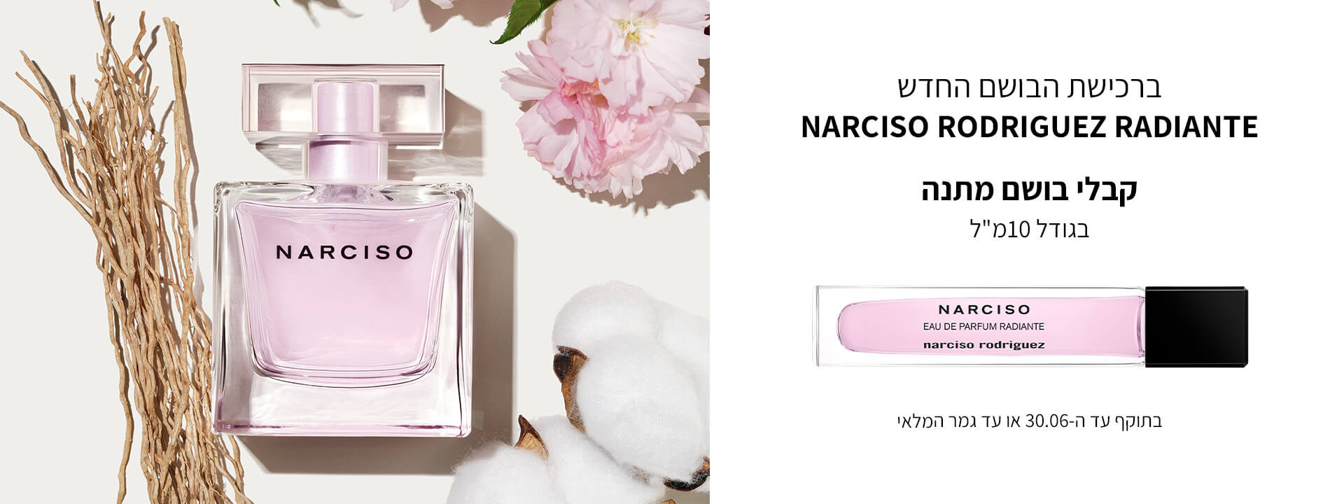 narciso-desktop