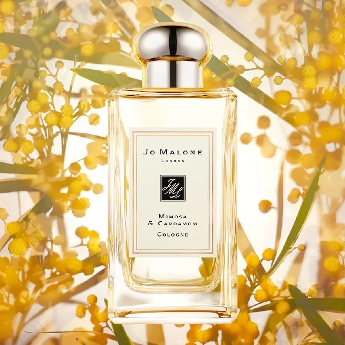 גו מלון מימוסה אנד קרדמון יוניסקס 100 מל אדק - Jo Malone Mimosa & Cardamom Unisex 100ml EDC – תמונה 3